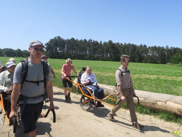 Randonnée joëlettes à Florival