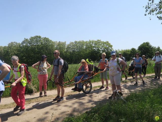 Randonnée joëlettes à Florival