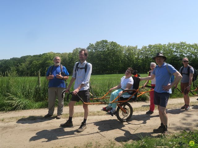 Randonnée joëlettes à Florival