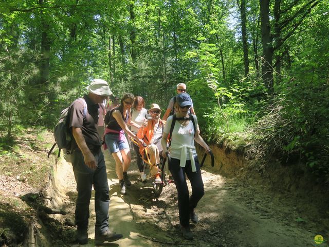 Randonnée joëlettes à Florival