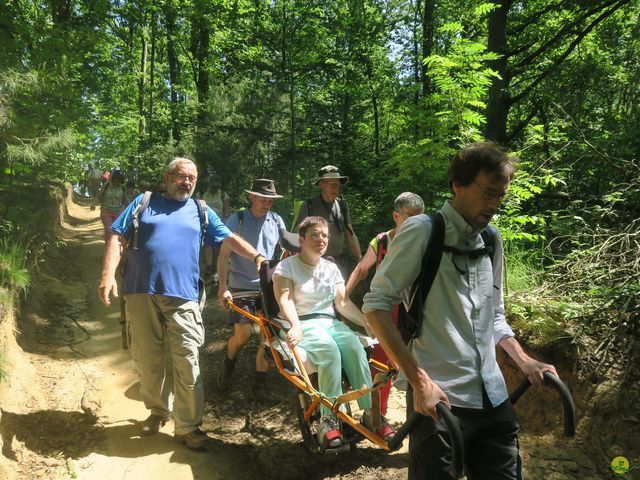 Randonnée joëlettes à Florival