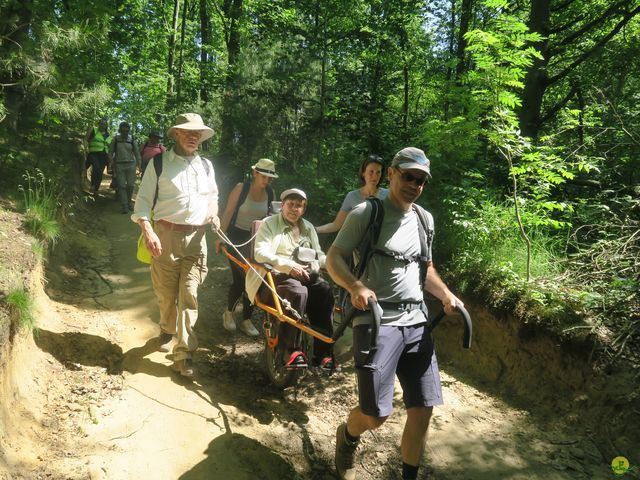 Randonnée joëlettes à Florival