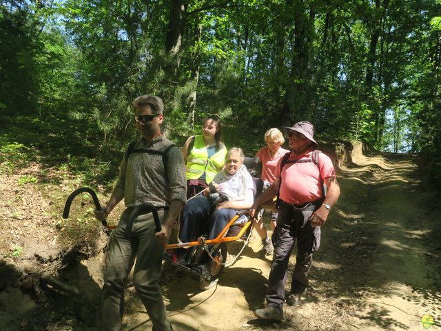 Randonnée joëlettes à Florival