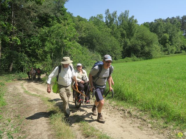 Randonnée joëlettes à Florival