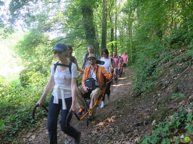 Randonnée joëlettes à Florival