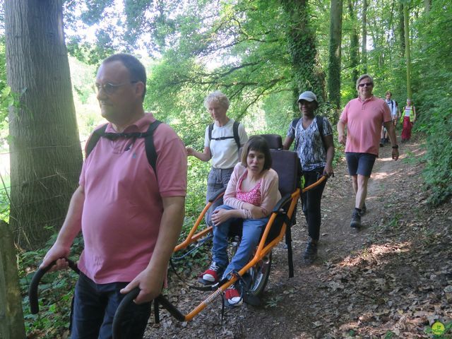 Randonnée joëlettes à Florival