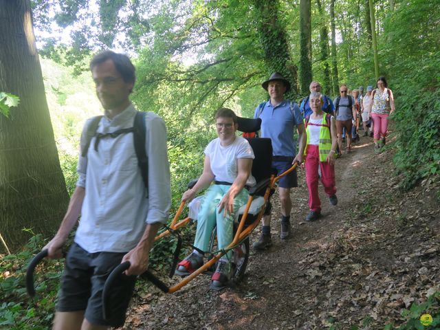 Randonnée joëlettes à Florival