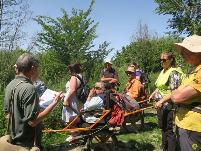 Randonnée joëlettes à Florival