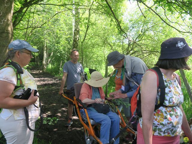 Randonnée joëlettes à Florival