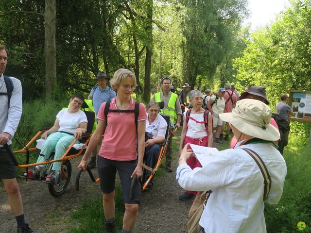 Randonnée joëlettes à Florival