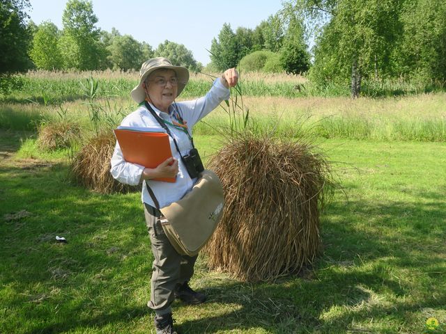 Randonnée joëlettes à Florival