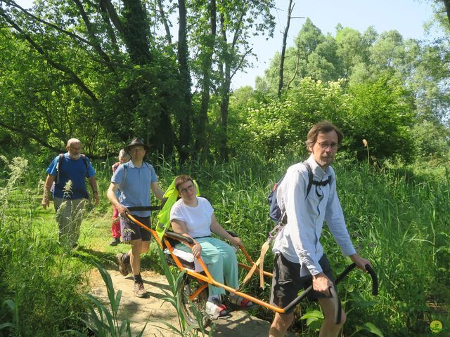 Randonnée joëlettes à Florival