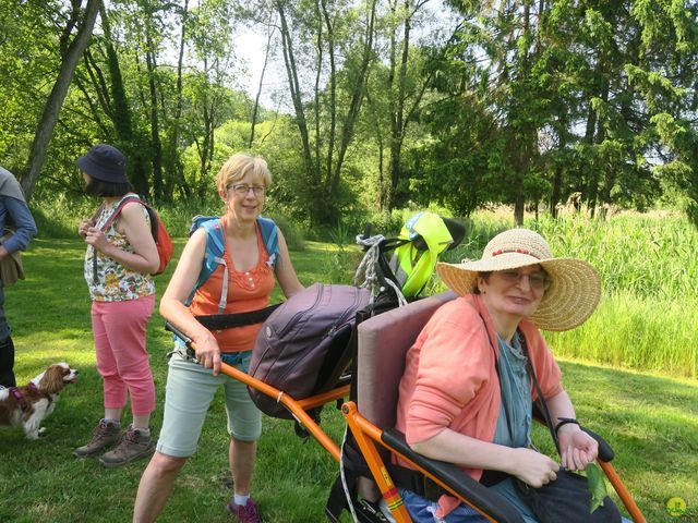 Randonnée joëlettes à Florival