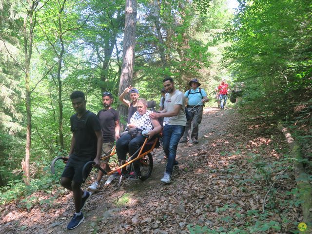 Randonnée joëlettes à Ste-Ode