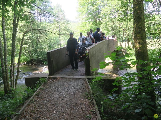 Randonnée joëlettes à Ste-Ode