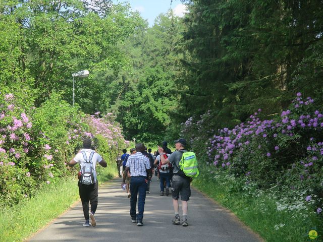 Randonnée joëlettes à Ste-Ode