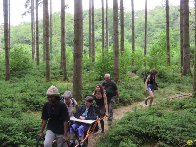 Randonnée joëlettes à Chiny