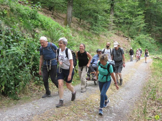 Randonnée joëlettes à Chiny