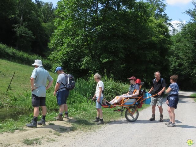 Randonnée joëlettes à Marche-les-Dames