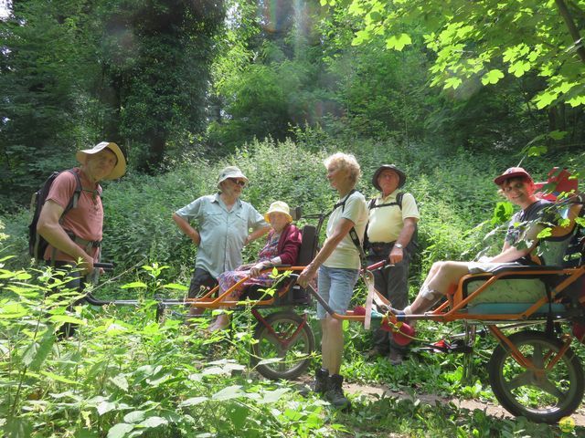 Randonnée joëlettes à Marche-les-Dames