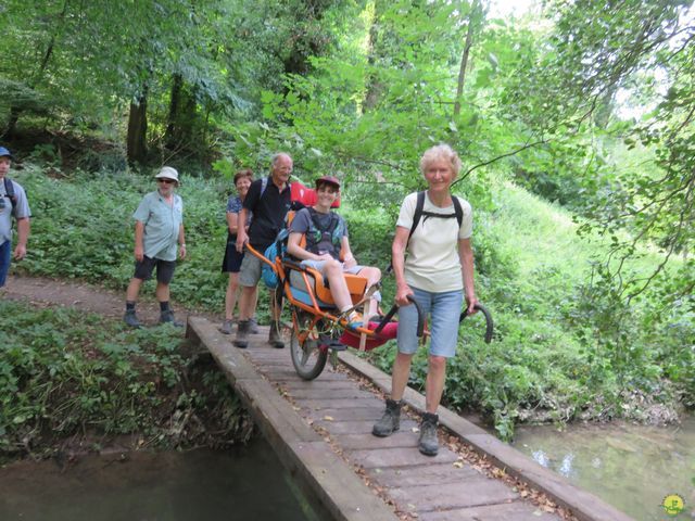 Randonnée joëlettes à Marche-les-Dames