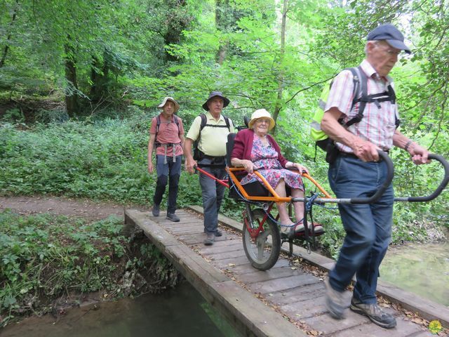 Randonnée joëlettes à Marche-les-Dames