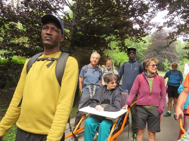 Randonnée joëlettes à Habay