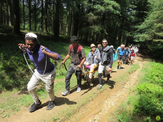 Randonnée joëlettes à Habay