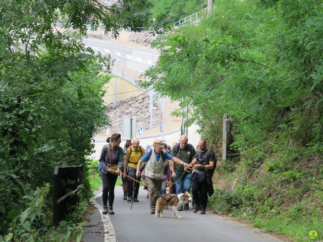 Randonnée joëlettes à Tilff