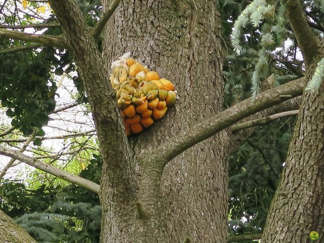 Randonnée joëlettes à Tilff