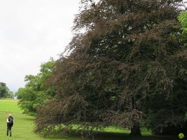 Randonnée joëlettes à Tilff