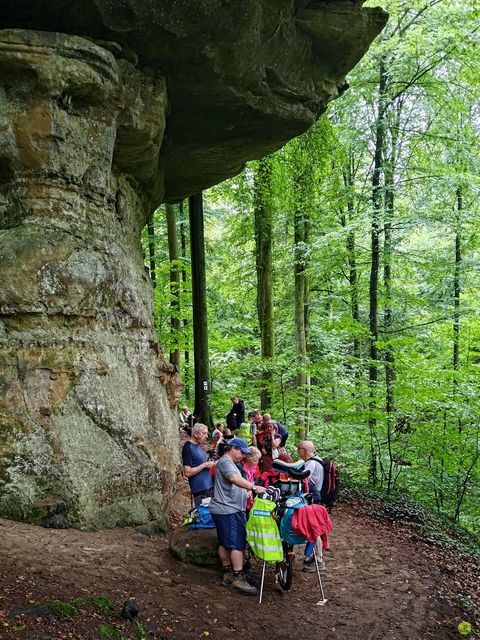 Randonnée joëlettes à Echternach