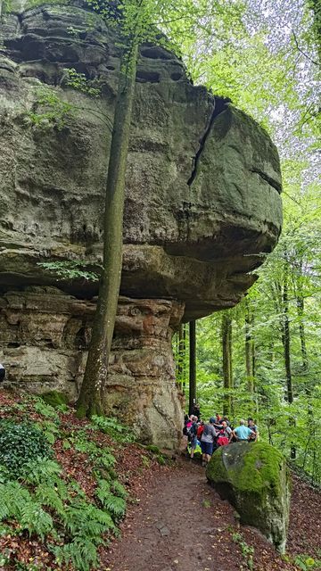 Randonnée joëlettes à Echternach