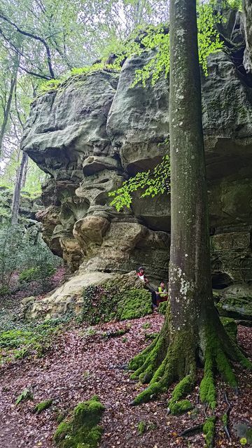 Randonnée joëlettes à Echternach