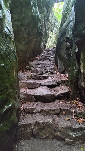 Randonnée joëlettes à Echternach