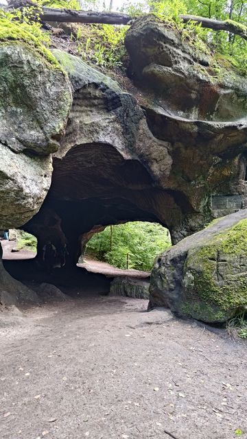 Randonnée joëlettes à Echternach