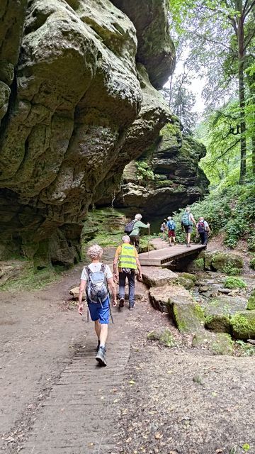 Randonnée joëlettes à Echternach