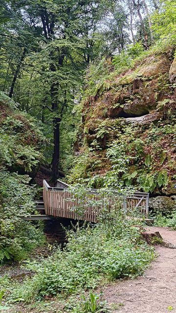 Randonnée joëlettes à Echternach