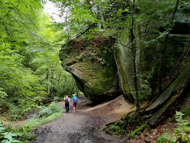 Randonnée joëlettes à Echternach