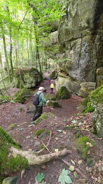 Randonnée joëlettes à Echternach