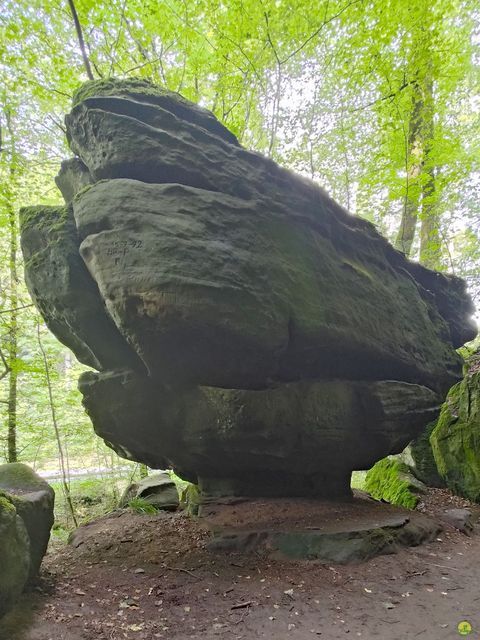 Randonnée joëlettes à Echternach