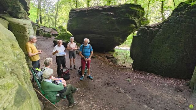 Randonnée joëlettes à Echternach