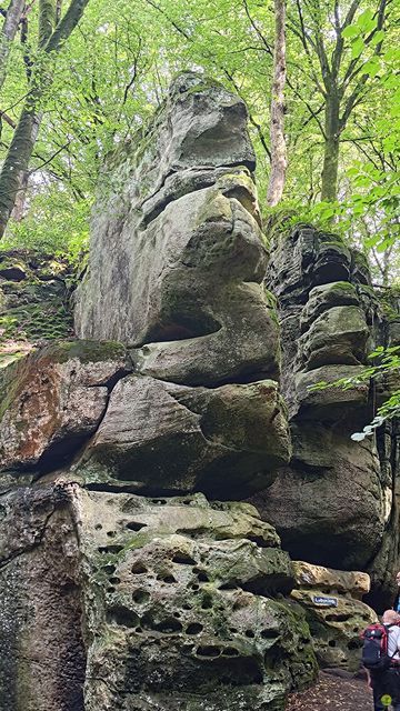 Randonnée joëlettes à Echternach