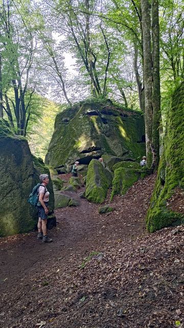 Randonnée joëlettes à Echternach