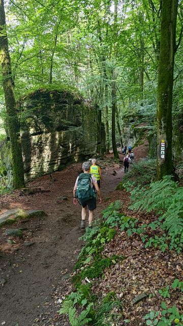 Randonnée joëlettes à Echternach