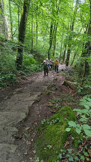 Randonnée joëlettes à Echternach