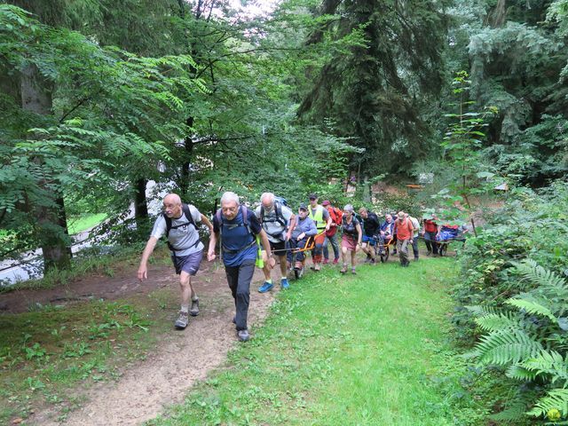 Randonnée joëlettes à Mullerthal