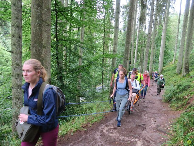 Randonnée joëlettes à Mullerthal