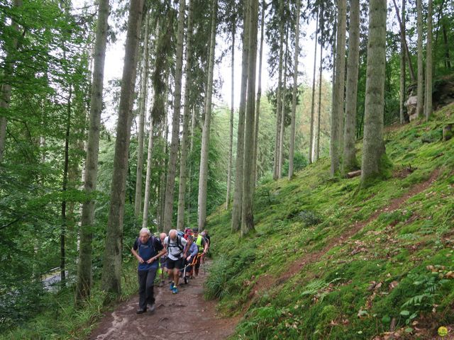 Randonnée joëlettes à Mullerthal