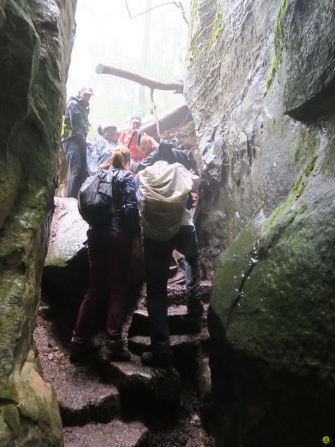 Randonnée joëlettes à Mullerthal